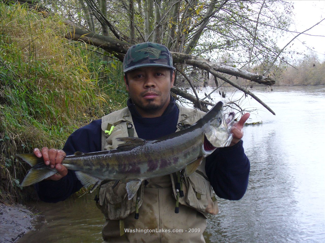 Puyallup River Fishing Regulations 2024 Wilie Julianna